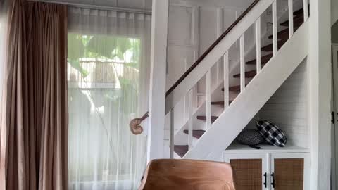 Emma Bloom online show from January 14, 2:17 am