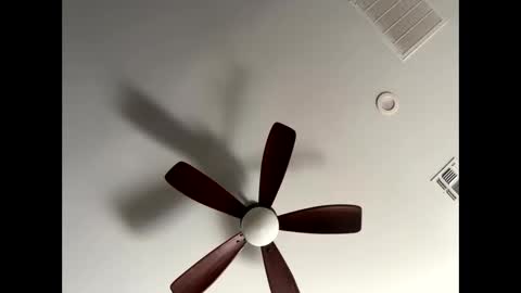 blueskyy56 online show from January 13, 5:40 pm