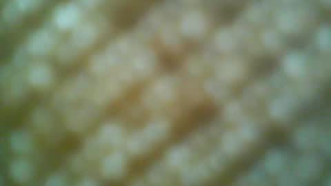 Motto Motto online show from May 31, 6:31 pm