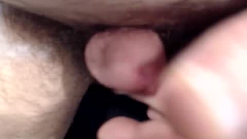 bobswan online show from March 15, 2:12 pm