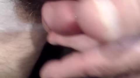 bobswan online show from April 15, 2:46 pm