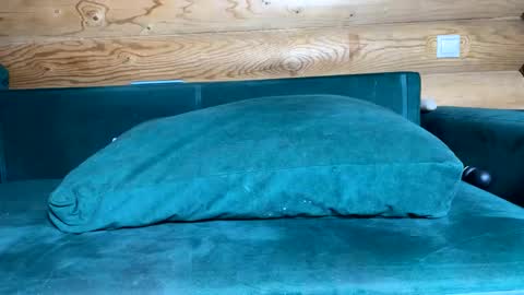 Snapshot of bohemianrhapsody1 chatting on October 21, 9:10 am Nail and Olivia online show from October 21, 9:10 am