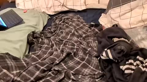 Snapshot of boiwithpussy chatting on February 16, 1:36 am boiwithpussy online show from February 16, 1:36 am