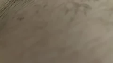 Snapshot of boleco chatting on January 12, 1:16 pm boleco online show from January 12, 1:16 pm