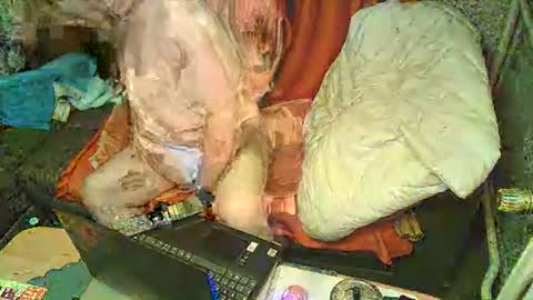 Snapshot of bomber59potsdam chatting on January 6, 9:32 pm Bomber59potsdam online show from January 6, 9:32 pm