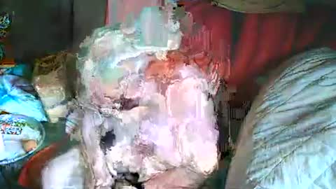 Snapshot of bomber59potsdam chatting on March 2, 10:35 am Bomber59potsdam online show from March 2, 10:35 am