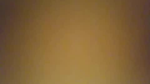 Snapshot of bonneappetite333 chatting on December 30, 12:52 pm hardmnd online show from December 30, 12:52 pm
