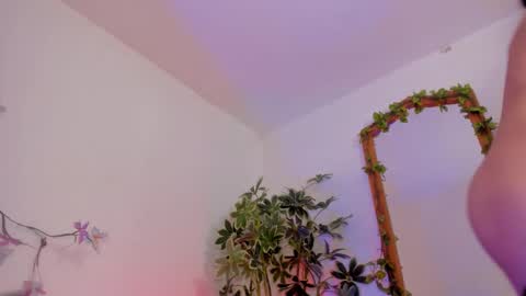   online show from February 3, 2:53 am