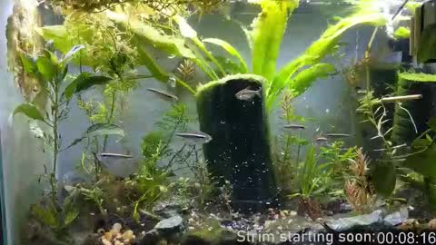 Booker Baxton online show from December 23, 3:59 am