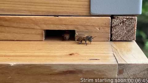 Booker Baxton online show from March 13, 3:02 am