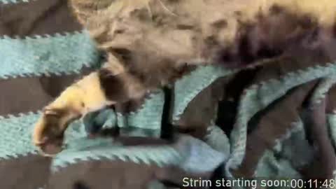 Booker Baxton online show from March 15, 3:01 am