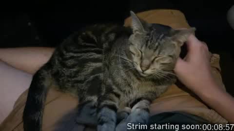 Booker Baxton online show from April 14, 3:01 am