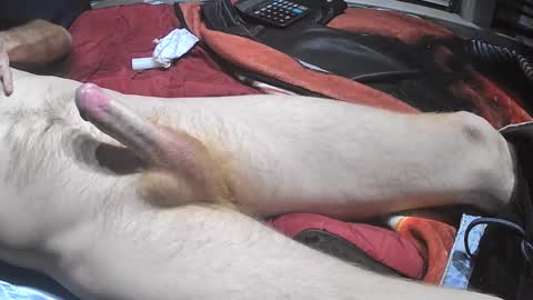 bornwild13 online show from November 11, 10:37 am