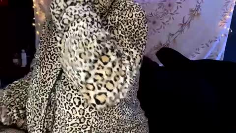 Snapshot of bossmomma chatting on December 13, 4:33 am BossMom online show from December 13, 4:33 am