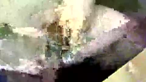 bossram160 online show from September 17, 8:21 pm