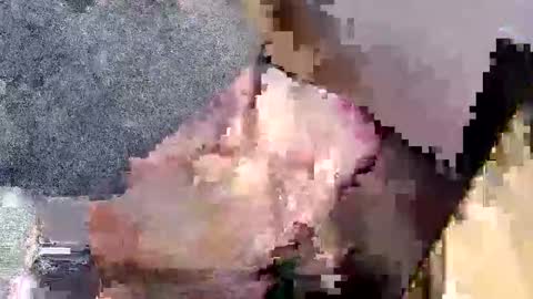 bossram160 online show from September 27, 7:52 pm