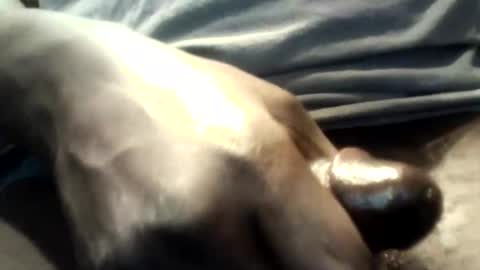 Snapshot of botofogo chatting on October 12, 1:59 am botofogo online show from October 12, 1:59 am