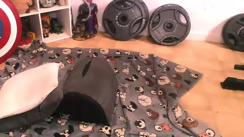 Pumpkin Butt online show from April 11, 7:51 pm