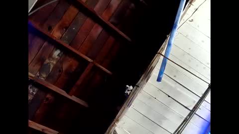 bouncr714 online show from February 26, 7:46 pm