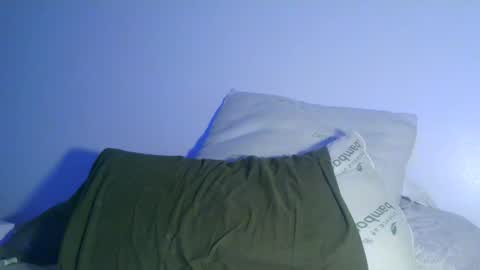 Snapshot of bowser2334 chatting on December 30, 4:20 am Jason Jax online show from December 30, 4:20 am