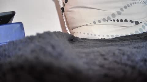 Snapshot of boy3911 chatting on February 11, 5:40 pm boy3911 online show from February 11, 5:40 pm