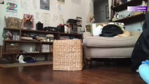 boywithbug online show from March 12, 6:44 pm