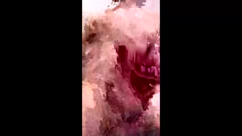 bracka100 online show from February 9, 7:56 am