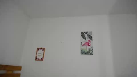 Snapshot of brafantasy chatting on October 15, 1:33 pm Rachel online show from October 15, 1:33 pm