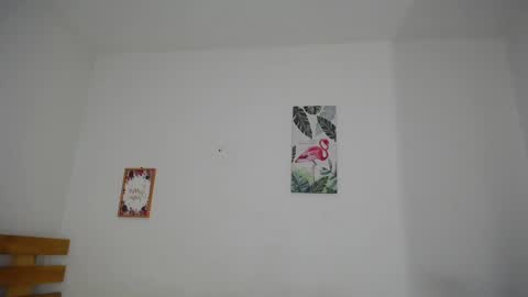 Snapshot of brafantasy chatting on October 17, 1:35 pm Rachel online show from October 17, 1:35 pm