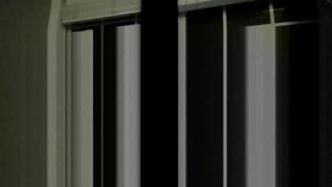 Snapshot of brandon255225 chatting on February 14, 2:08 am brandon255225 online show from February 14, 2:08 am