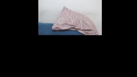 Snapshot of brant_garcia chatting on January 17, 5:56 am Brant Garcia online show from January 17, 5:56 am