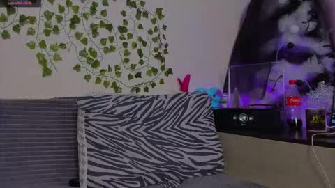 Johny Bravo online show from January 13, 8:03 pm