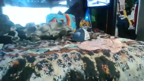 Snapshot of breezy0125 chatting on November 19, 5:02 pm breezworld online show from November 19, 5:02 pm