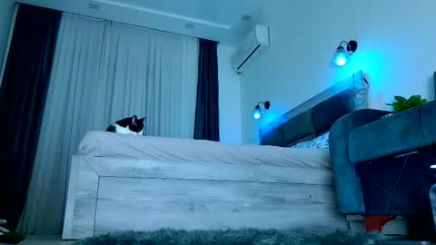 Brenda online show from December 13, 7:42 pm