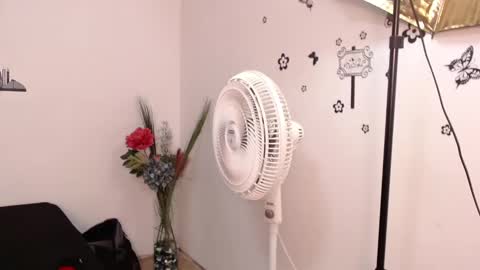 Brenda  online show from January 29, 3:15 pm