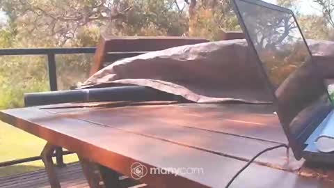 Snapshot of bridie3079 chatting on October 10, 1:15 am Fun Monster online show from October 10, 1:15 am