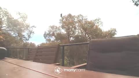 Snapshot of bridie3079 chatting on October 16, 2:01 am Fun Monster online show from October 16, 2:01 am