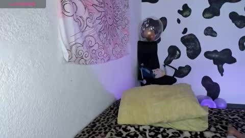 bri online show from November 28, 6:10 pm