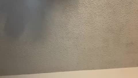 EtherealLilac online show from February 11, 3:50 am