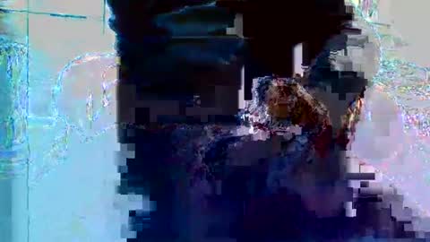 Snapshot of bruno5629 chatting on November 27, 1:13 pm bruno5629 online show from November 27, 1:13 pm