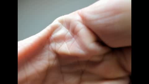 Snapshot of brutalmaster1983 chatting on December 27, 6:46 am BRUTALMASTER1983 online show from December 27, 6:46 am