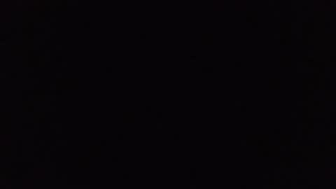 Buck Wessle online show from October 24, 2:02 pm