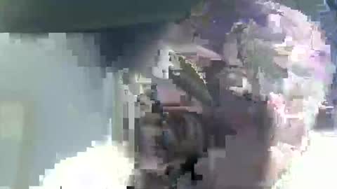 Casey online show from February 14, 4:53 am