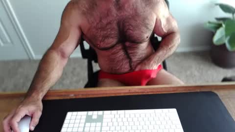 Snapshot of bullbud chatting on May 11, 2:23 pm Wrestling Dads.. hit me up. online show from May 11, 2:23 pm