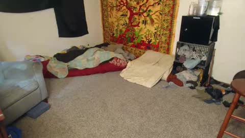 Shane online show from December 15, 4:55 pm