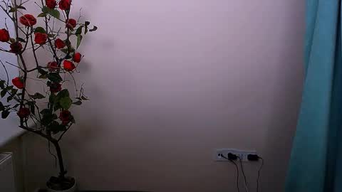 Ariel online show from October 21, 4:13 am