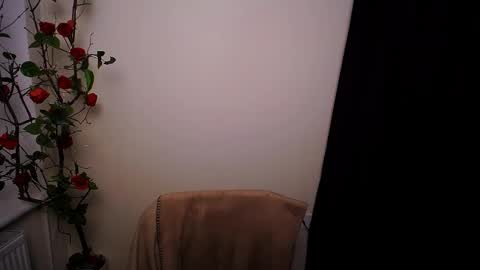 Ariel online show from March 20, 9:08 pm