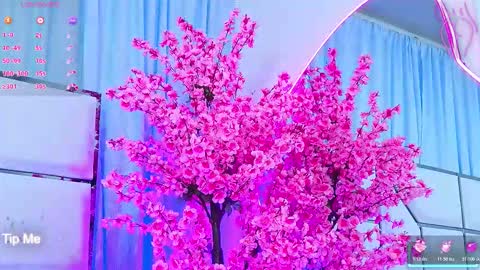 Bunny online show from March 4, 3:12 am