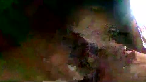 burro3000 online show from December 13, 4:43 am