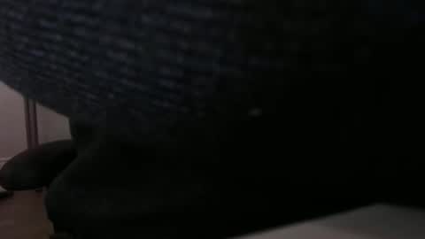 Snapshot of bushhouse21 chatting on November 23, 6:02 am bushhouse21 online show from November 23, 6:02 am